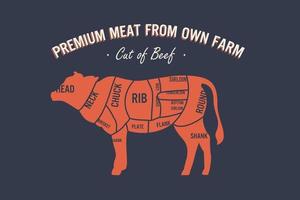 Cut of beef. Poster Butcher diagram and scheme - Cow. vector