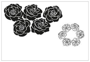 Rose flower hand drawn ilustration vector