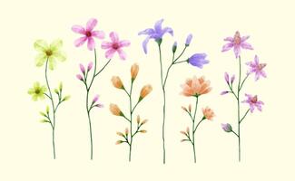 un conjunto de flores pintadas en acuarela para crear un trabajo de diseñador vector