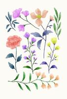 A set of flowers painted in watercolor for designer work create vector