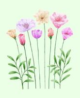 A set of flowers painted in watercolor for designer work create vector