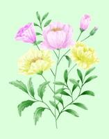 A set of flowers painted in watercolor for designer work create vector