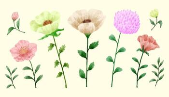 A set of flowers painted in watercolor for designer work create vector