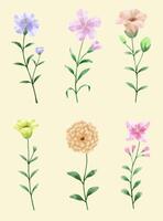 A set of flowers painted in watercolor for designer work create vector