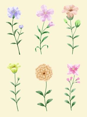 A set of flowers painted in watercolor for designer work create