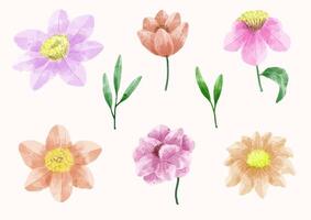 A set of flowers painted in watercolor for designer work create vector