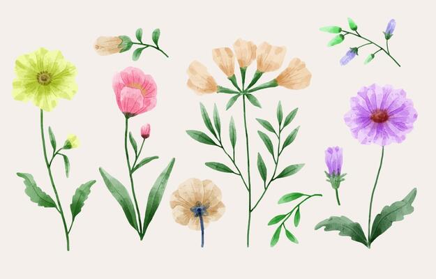 A set of flowers painted in watercolor for designer work create