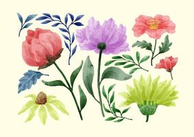 A set of flowers painted in watercolor for designer work create vector