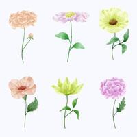 A set of flowers painted in watercolor for designer work create vector