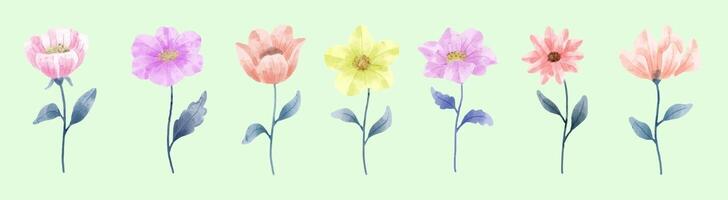 A set of flowers painted in watercolor for designer work create vector