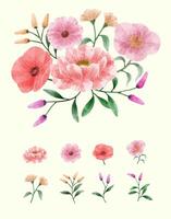 A set of flowers painted in watercolor for designer work create vector