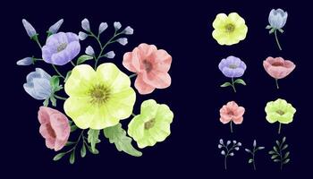 un conjunto de flores pintadas en acuarela para crear un trabajo de diseñador vector