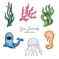 Watercolor aquatic animals object asset. Baby toy stuffs set of animal vector