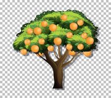 Orange tree on grid background vector