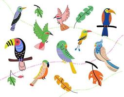 Exotic parrots set sitting on brunches. Tropical birds and parrot collection. Vector illustration