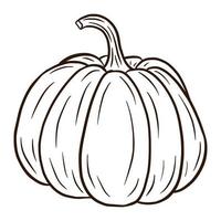 Line Art Shugar Pumpkin Illustration. Autumn Food Icon. Ripe squash sketch. Element for autumn decorative design, halloween invitation, harvest, sticker, print, logo, menu, recipe vector