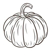 Line Art Pumpkin Illustration. Autumn Food Icon. Ripe squash sketch. Element for autumn decorative design, halloween invitation, harvest, sticker, print, logo, menu, recipe vector