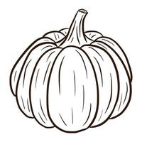 Line Art Ripe Gourd Illustration. Winter Squash Icon. Hand drawn pumpkin sketch. Element for autumn decorative design, halloween invitation, harvest, sticker, print, logo, menu, recipe vector