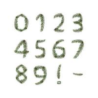 Numbers from green Christmas tree branches. Festive font, symbol of happy New Year and Christmas, character for date decoration vector