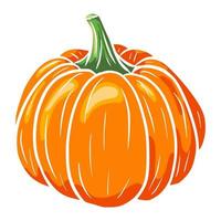 Ripe Gourd. Winter Squash Icon. Hand drawn pumpkin sketch. Element for autumn decorative design, halloween invitation, harvest, sticker, print, logo, menu, recipe vector