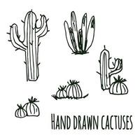 Vector hand drawn set of cactuses