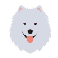 cara de perro samoyedo. ilustración vectorial vector