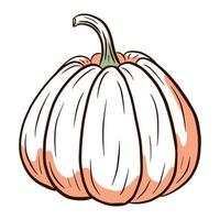 imagen de calabaza jugosa. ilustración de comida de otoño. boceto de calabaza madura. elemento para el diseño decorativo de otoño, invitación de halloween, cosecha, pegatina, impresión, logotipo, menú, receta vector