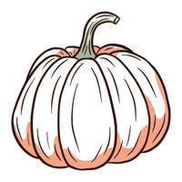 Sugar Pumpkin Image. Autumn Food Illustration. Ripe squash sketch. Element for autumn decorative design, halloween invitation, harvest, sticker, print, logo, menu, recipe vector