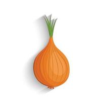 onions vector illustration