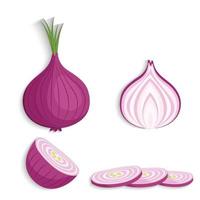 A bunch of red onions or shallots that are still fresh after being  harvested. 10972013 Stock Photo at Vecteezy