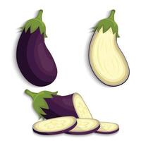 eggplant set cut and whole vector