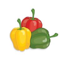 Bell peppers set vector