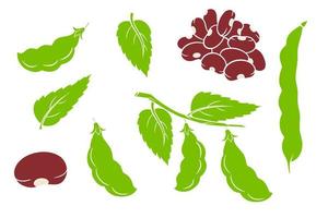 Beans set. Fresh green beans and red beans. vector