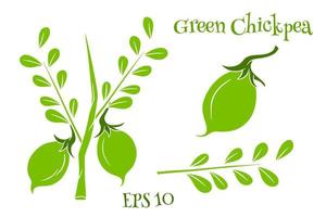 A set of chickpeas. Fresh chickpeas on a twig with leaves. vector