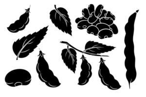 Beans set. Fresh green beans and red beans. vector