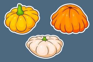 conjunto de calabaza. calabaza fresca amarilla, naranja y beige. vector