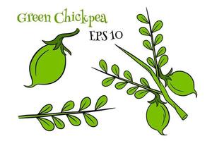 A set of chickpeas. Fresh chickpeas on a twig with leaves. vector