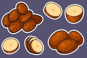 Set of potatoes. Whole potatoes, cut into wedges, half. vector