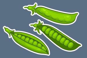 Peas set. Closed and open green pea pods. vector