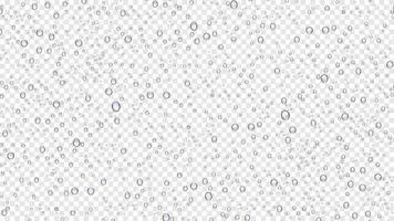 Drops water rain on transparent background, realistic style, vector elements