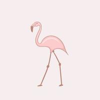 Colorful Hand drawn flamingo illustration vector