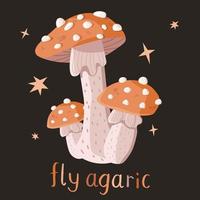 Set of three fly agaric mushrooms on a dark background vector