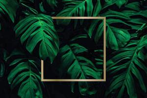 Lots of bright green tropical leaves as a background with a gold stripe in the middle. vector