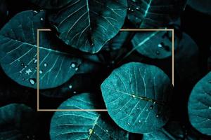 Lots of bright green tropical leaves as a background with a gold stripe in the middle. vector