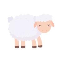 cute sheep cartoon vector