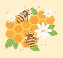 abejas y panal vector