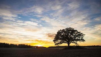 Puesta de sol de paisaje de lapso de tiempo con cielo de nube esponjosa crepúsculo que fluye en la granja y árbol solitario en la noche video