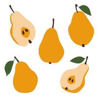Yellow pear fruit. A slice of pear. Abstract illustration. Vector collection