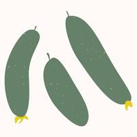 cucumbers are a natural vegetable, a hand-drawn vector illustration is isolated on a white background.