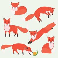 A set of cartoon foxes. Cute red fox. A flat vector illustration isolated on a white background.